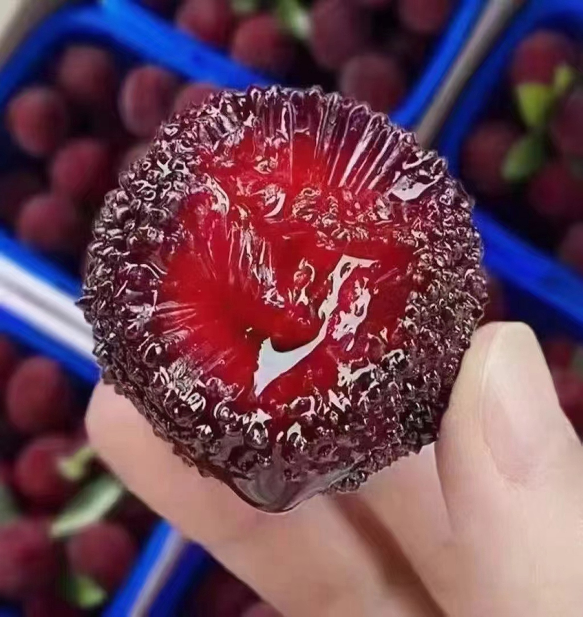 洞庭杨梅