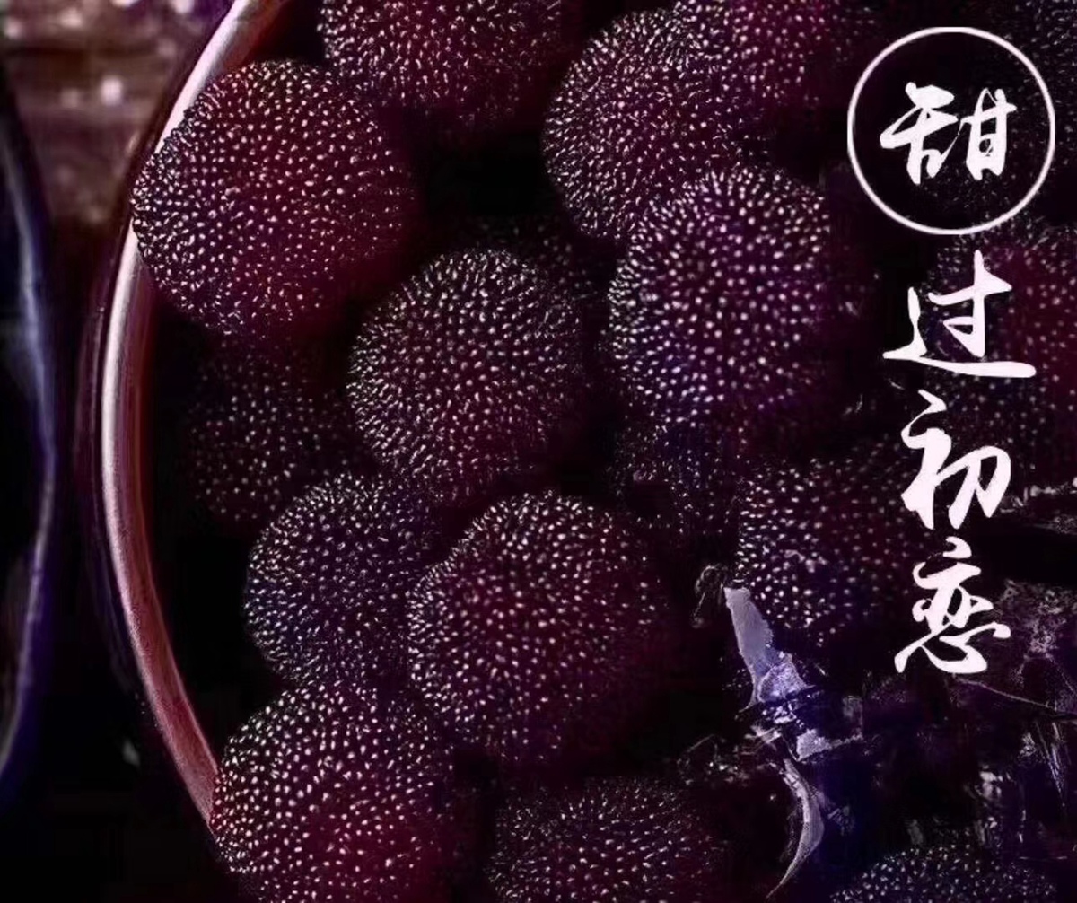 洞庭杨梅