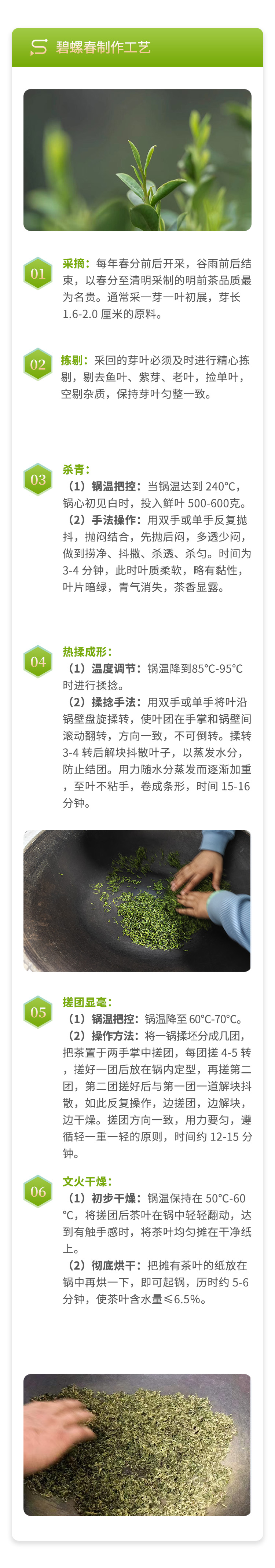 1 碧螺春制作（暂用后续修改）.jpg