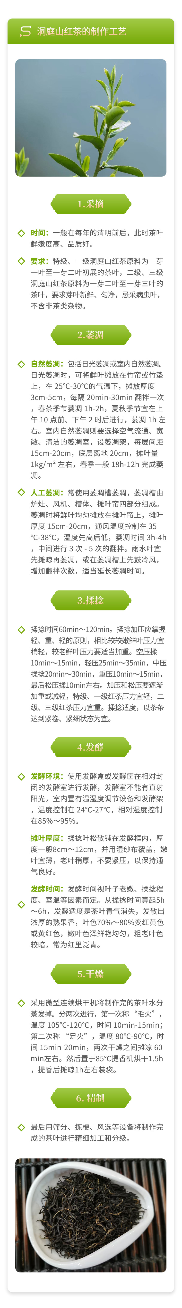 3 碧螺春红茶的制作（暂用后续修改）.jpg